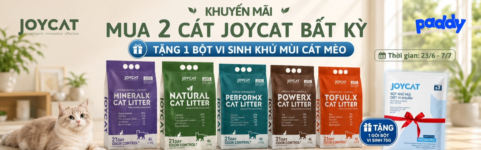 M2T1 Joycat