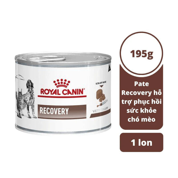 Pate Cho Chó Mèo Phục Hồi Sức Khỏe Royal Canin Recovery