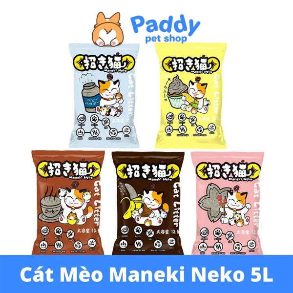 cat-di-ve-sinh-cho-meo