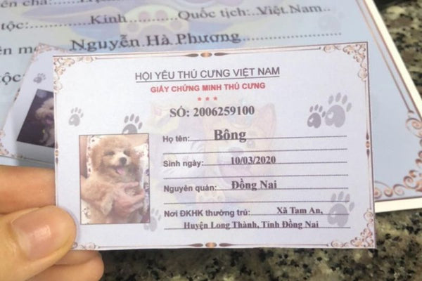 có cần đăng ký giấy khai sinh cho chó mèo