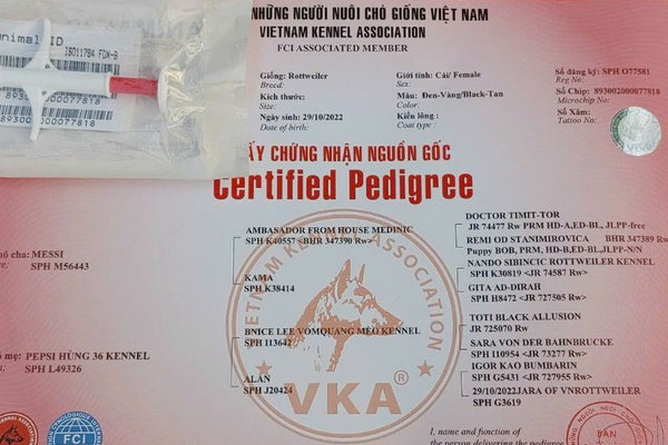 có cần đăng ký giấy khai sinh cho chó mèo
