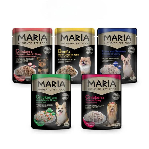 maria-dog-pate-cho-cun-thai-lan
