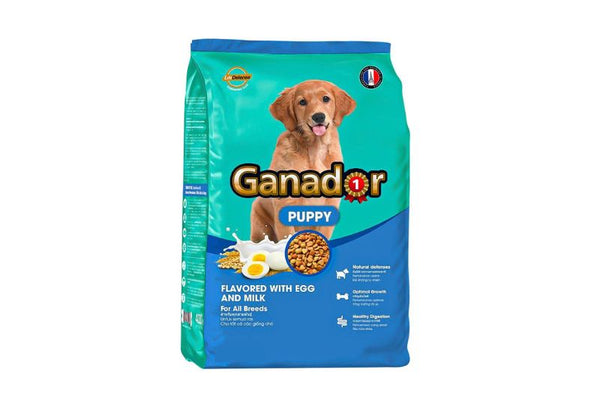 Ganador