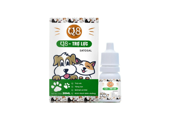 tìm hiểu thương hiệu Q8