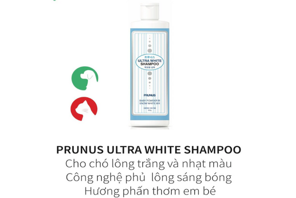 Sữa tắm tẩy ố lông chó
