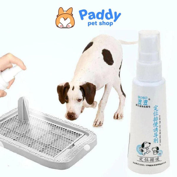 xit-huan-luyen-cho-di-ve-sinh-bobo-paddy