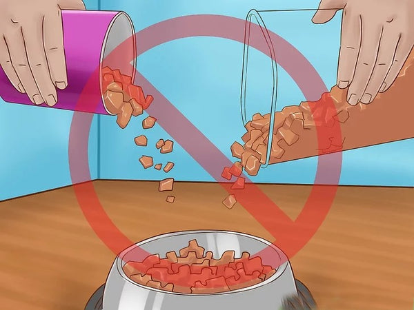 cách bảo quản pate mèo