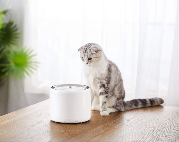 máy lọc nước cho mèo petkit