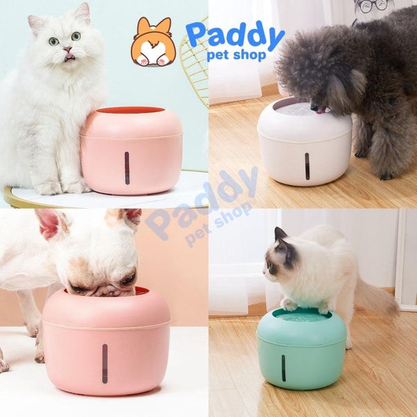 máy lọc nước cho mèo