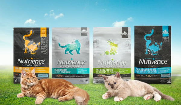 So sánh Nutrience Subzero và Nutrience Infusions