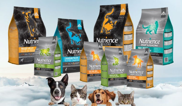 So sánh Nutrience Subzero và Nutrience Infusions