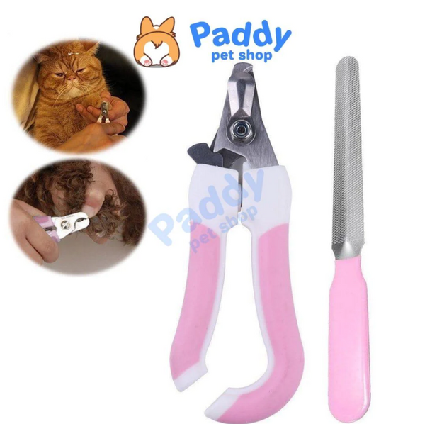 khi-nao-co-the-cat-mong-cho-cho-con