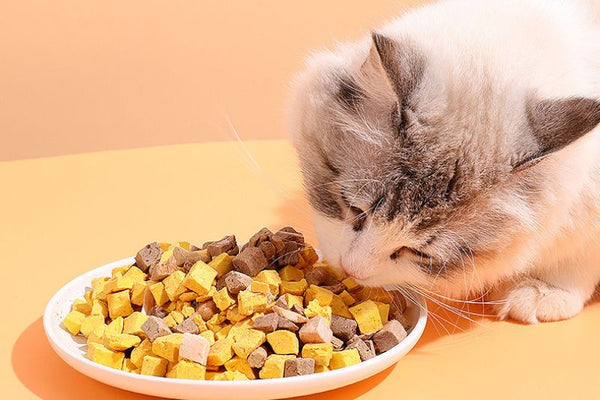 tìm hiểu về hạt mix thịt cho chó mèo