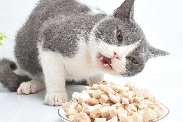tìm hiểu về hạt mix thịt cho chó mèo