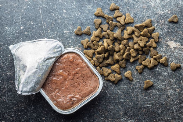 Các loại pate cho mèo con