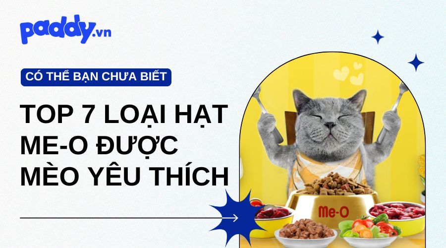 Top 7 Loại Hạt Me-O Được Yêu Thích Nhất Hiện Nay