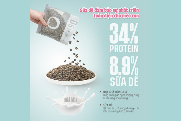 Tìm hiểu về thương hiệu PetQ