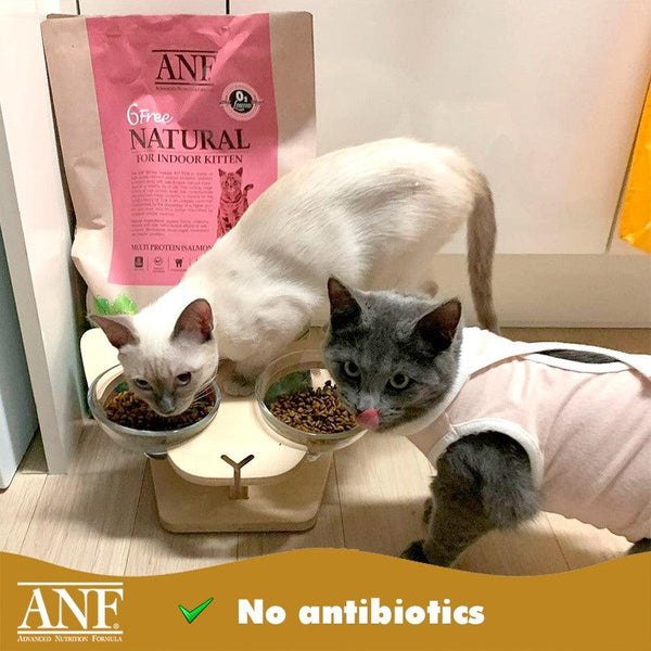 Hạt ANF Cho Mèo Con Kitten 6Free Gà & Cá Hồi Hữu Cơ