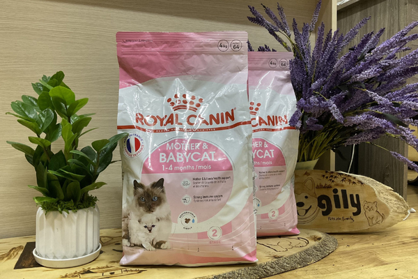 Royal Canin