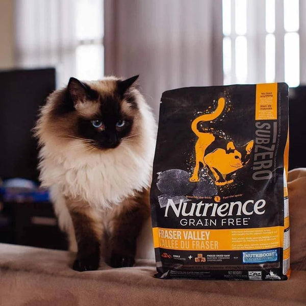 hat-Nutrience-cho-meo