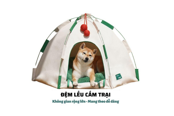 tìm hiểu thương hiệu ZEZE