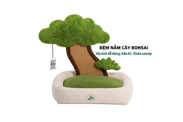 tìm hiểu thương hiệu ZEZE