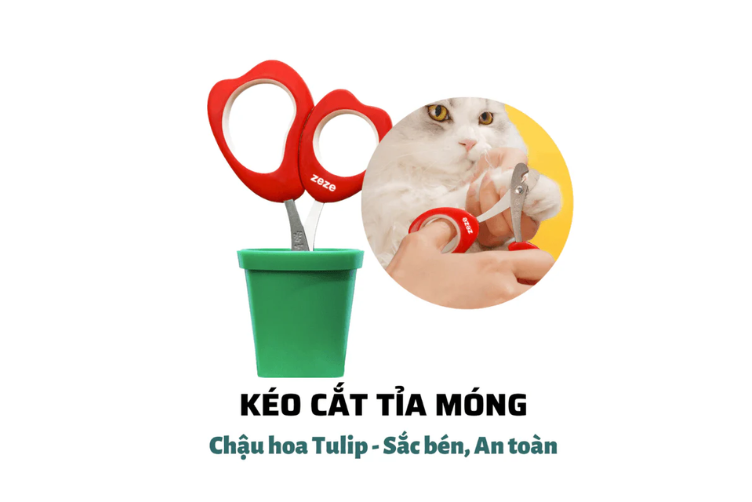tìm hiểu thương hiệu ZEZE
