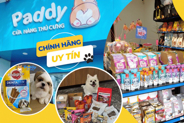 các sản phẩm thú cưng thịnh hành nhất 2024