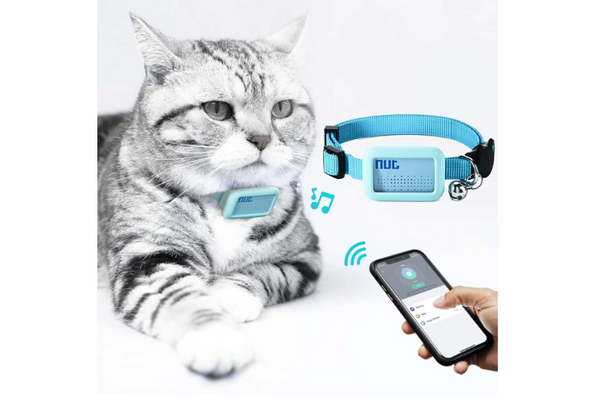 các sản phẩm thú cưng thịnh hành nhất 2024