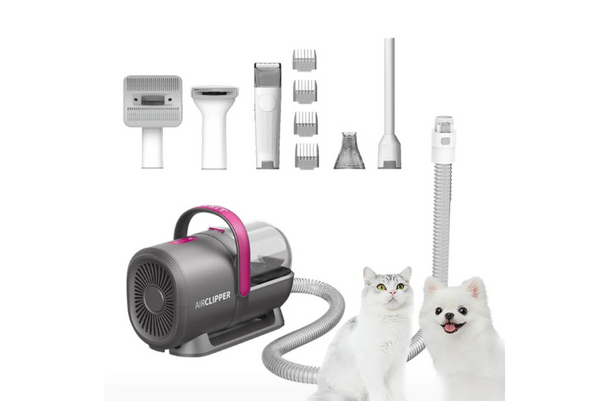 các sản phẩm thú cưng thịnh hành nhất 2024