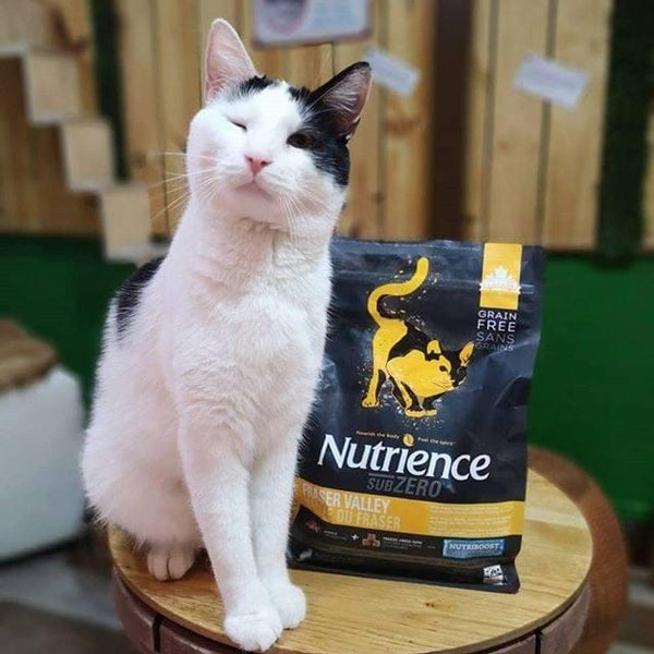 hat-nutrience-subzero-fraser-valley-cho-meo-moi-lua-tuoi-vi-ga-and-ca