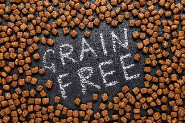 Tìm hiểu về hạt grain-free