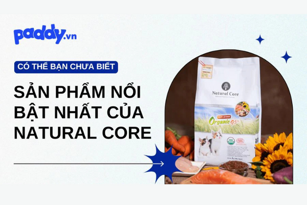 tìm hiểu về các sản phẩm thương hiệu Natural Core