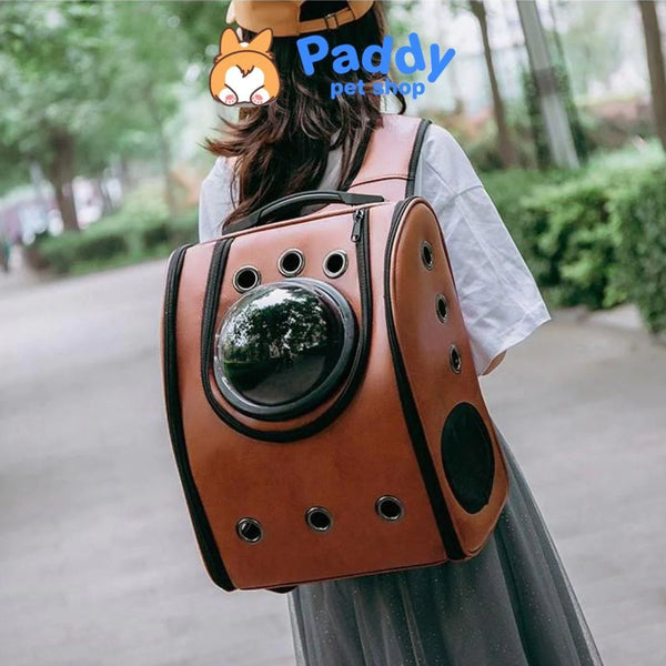 Túi vận chuyển chó mèo