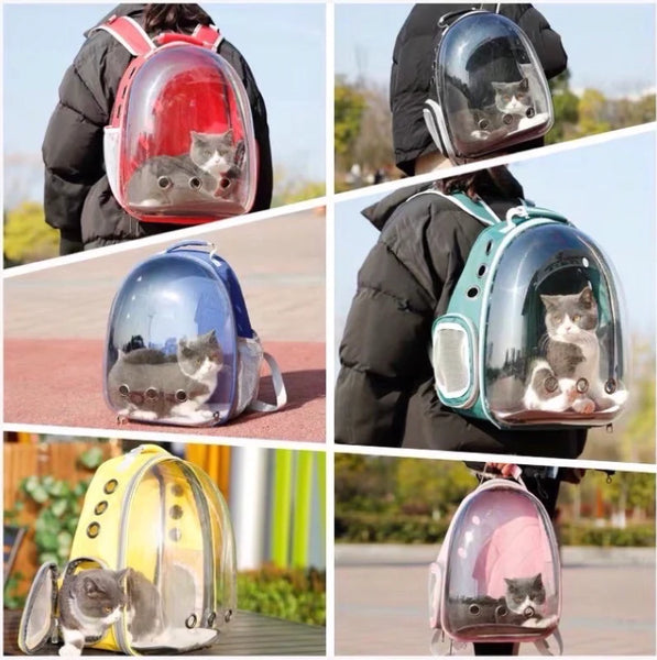 giỏ đựng thú cưng trong suốt