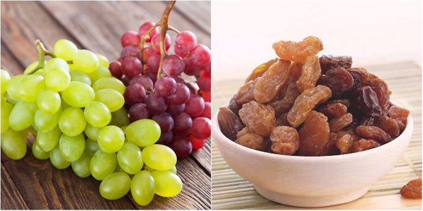 thuc-an-cho-khong-nen-an