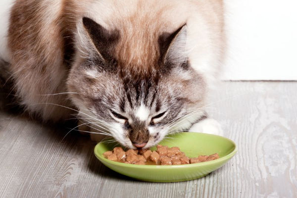 Royal Canin Cho Mèo Theo Từng Độ Tuổi