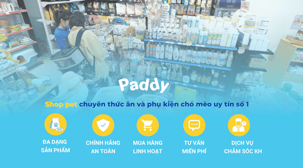 sieu-thi-thu-cung-gan-day