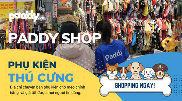 sieu-thi-thu-cung