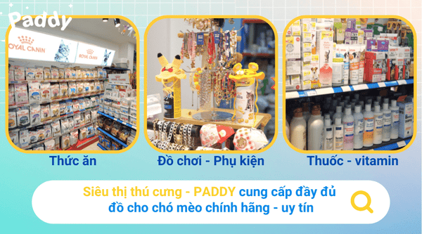 sieu-thi-thu-cung-gan-day