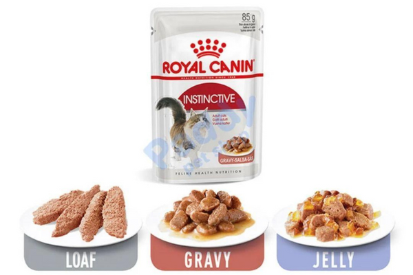 Royal Canin Intense Beauty Pate cho Mèo