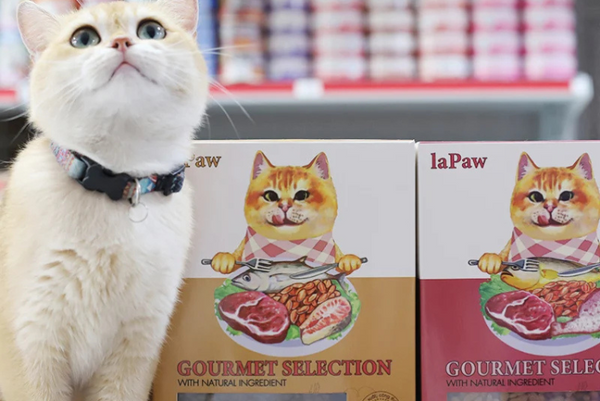 Tìm hiểu về các sản phẩm thương hiệu Lapaw