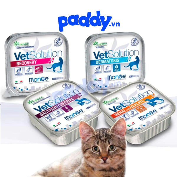 Pate Mèo Monge Cat Vet Solution Chăm Sóc Sức Khỏe 100g