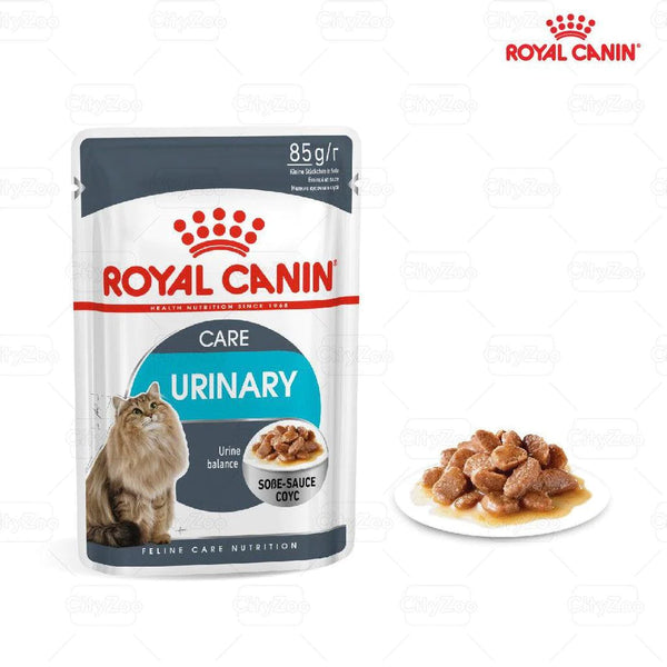 pate hỗ trợ đường tiết niệu