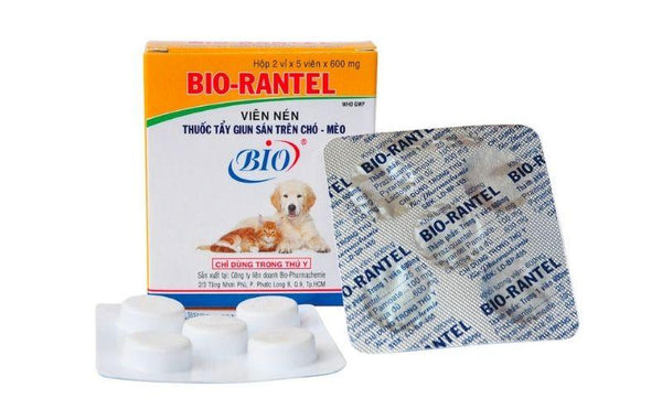 cách chữa bệnh cho mèo bị nôn bằng xổ giun