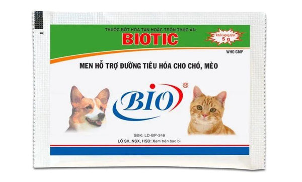 Bổ sung men tiêu hoá cho mèo