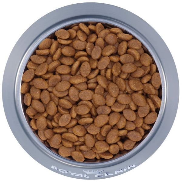 Royal Canin Indoor Long Hair