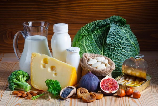 Chó mèo bị gãy xương nên ăn gì