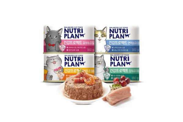 Pate Mèo Trưởng Thành Nutri Plan Chăm Sóc Sức Khỏe (Lon 160g)