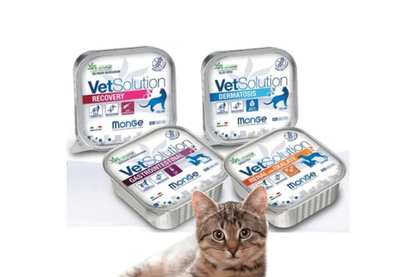 Pate Mèo Monge Cat Vet Solution Chăm Sóc Sức Khỏe 100g